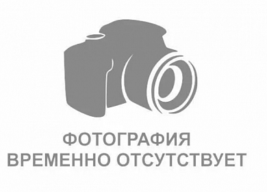  Регулятора крутящего момента гайковерта пневматического JAI-6211 Jonnesway купить